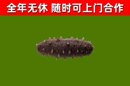 管城区烟酒回收干海参.jpg